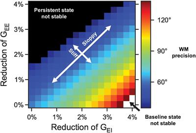 Is It Possible to Improve Working Memory With Prefrontal tDCS? Bridging Currents to Working Memory Models